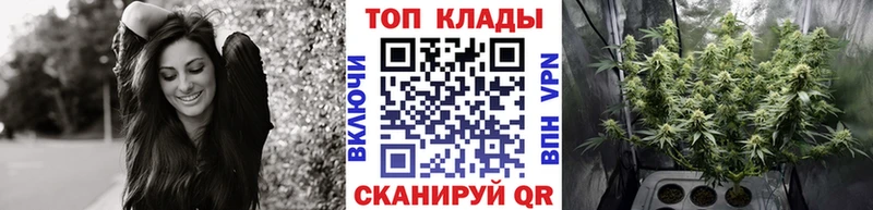 Виды наркоты Перевоз A PVP  Каннабис  Галлюциногенные грибы  Гашиш  Кокаин  Меф мяу мяу  АМФЕТАМИН 