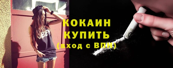 стафф Алексин