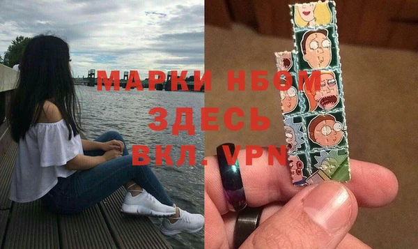 стафф Алексин